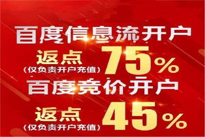 竞价账户优化与维护，代运营公司的专业能力展示